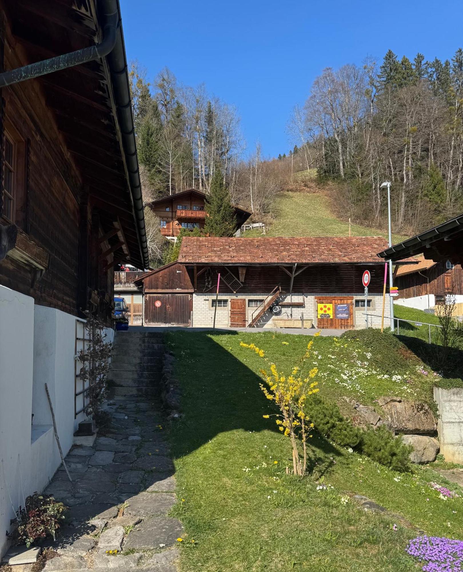 Studio Sternen Hasliberg Exterior photo